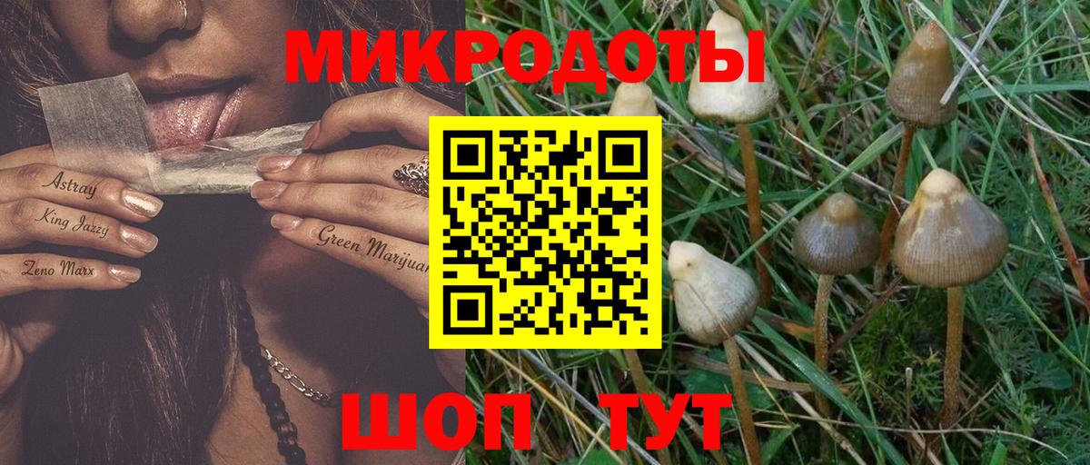 Галлюциногенные грибы ЛСД Фрязино